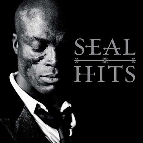 crazy seal testo|seal song wikipedia.